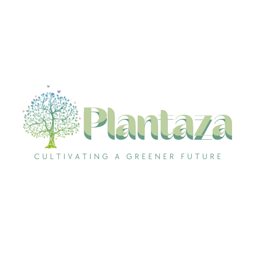 Photo - PLANTAZA