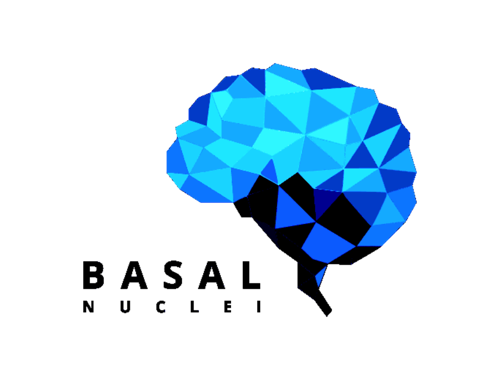 Photo - Basal Nuclei