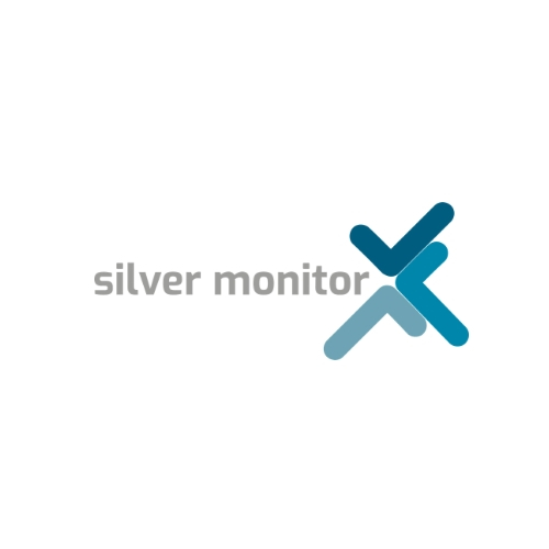 Photo - Silver monitor