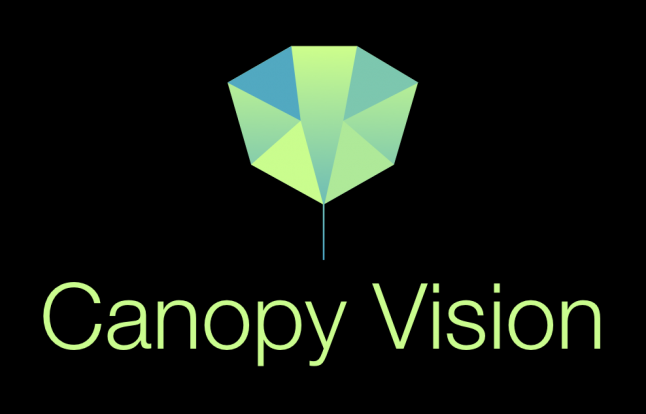 Photo - Canopy vision