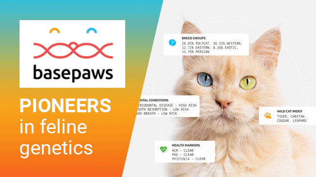 Meet the founder of the startup Basepaws