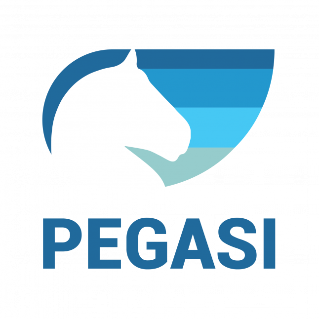 Photo - PEGASI