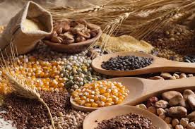 Photo 1 - Eport Grains and Pulses