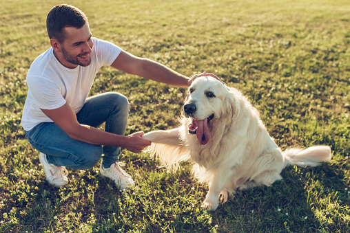 Photo - Готовий онлайн-сервіс для пошуку сітерів для тварин