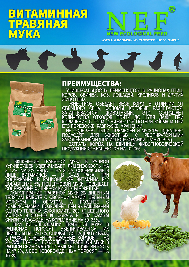 Photo 1 - Производство корма и добавки из растительного сырья.