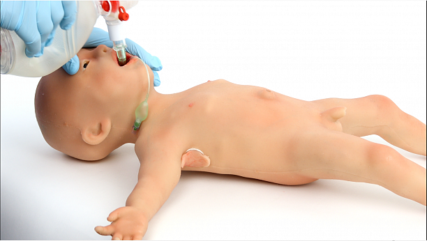 Photo 1 - Simulation products for medical teaching and training