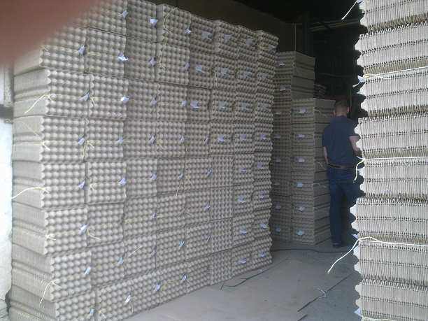 Photo 2 - Виробництво прокладки на 30 яєць з макулатури.