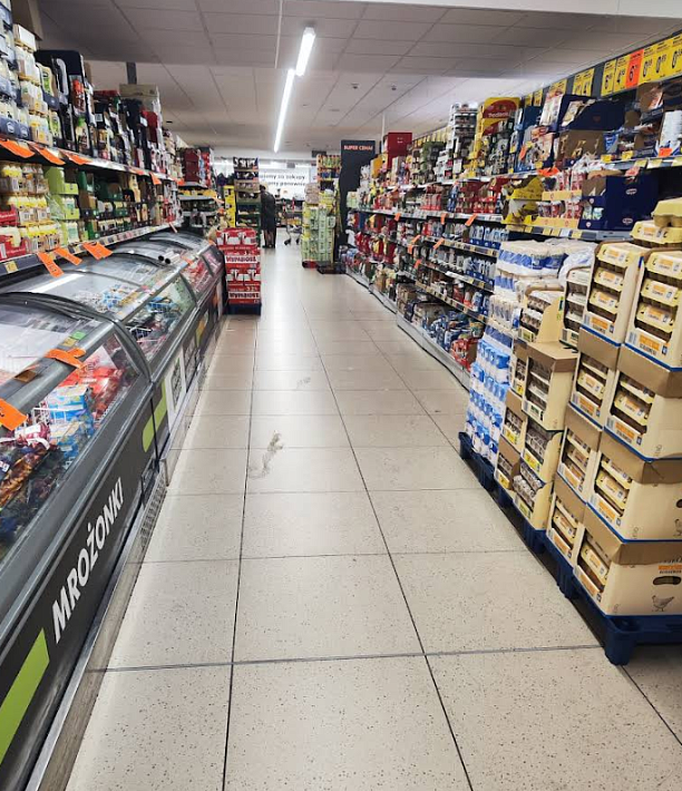 Photo 3 - Продаж приміщення у Варшаві з діючим орендарем