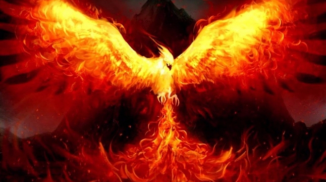 Тимофей Солончук