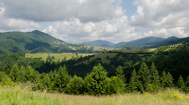 Антон Мазуренко
