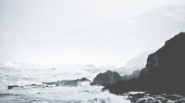 Вадим Зарецкий