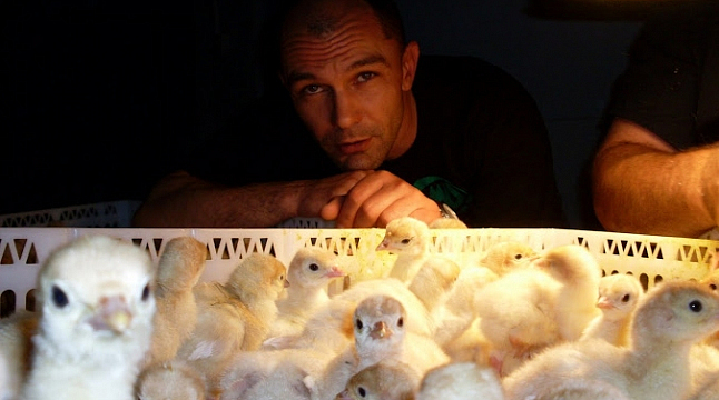 Георгий Рождественский