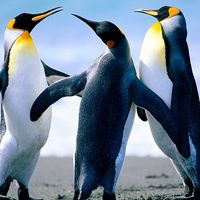 Валерий Ломовцев